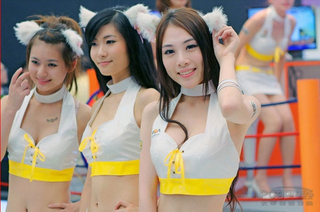 Illustration for article titled The Companions And Cosplayers Of ChinaJoy 2010